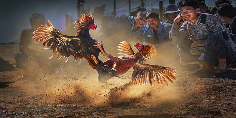 iwin club chơi bắn cá đổi thưởng