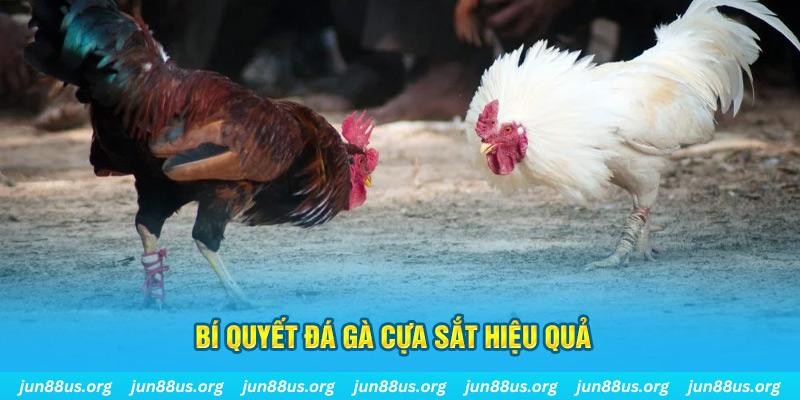 iwin club xin 1 slot là gì