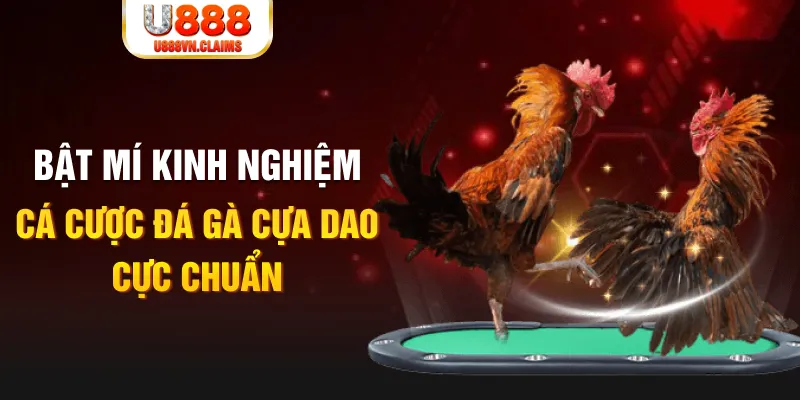 iwin club tỷ lệ cá cược châu á là gì