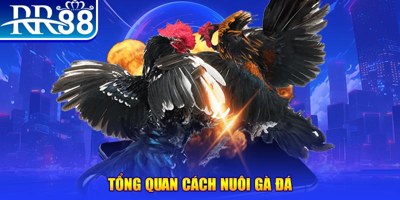 iwin club VA Điện Tử