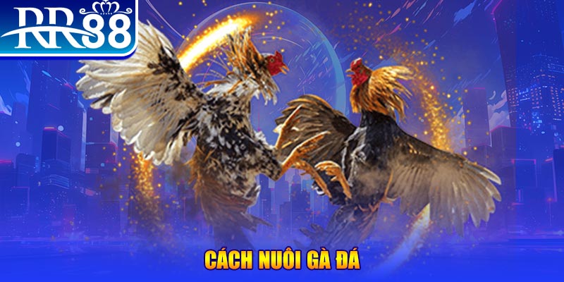 iwin club xổ số an giang