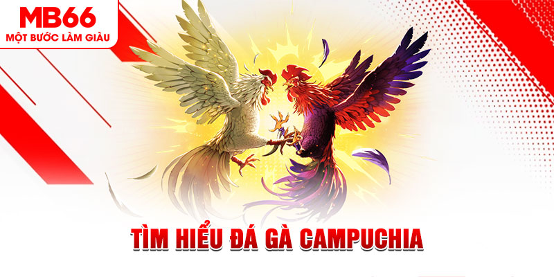 iwin club đá gà trực tiếp