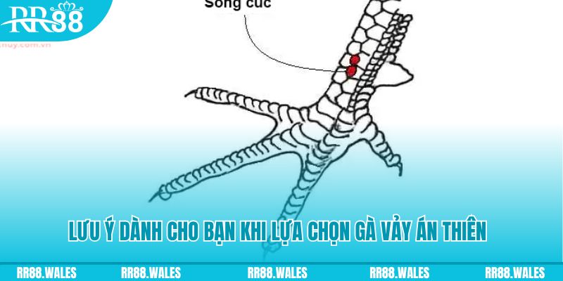 iwin club xổ số đồng nai