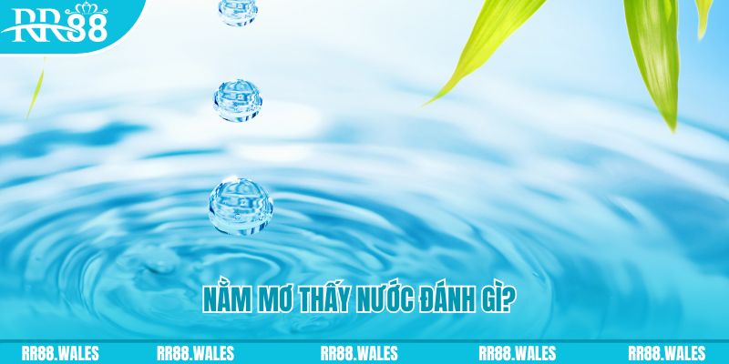 iwin club TP Bắn cá