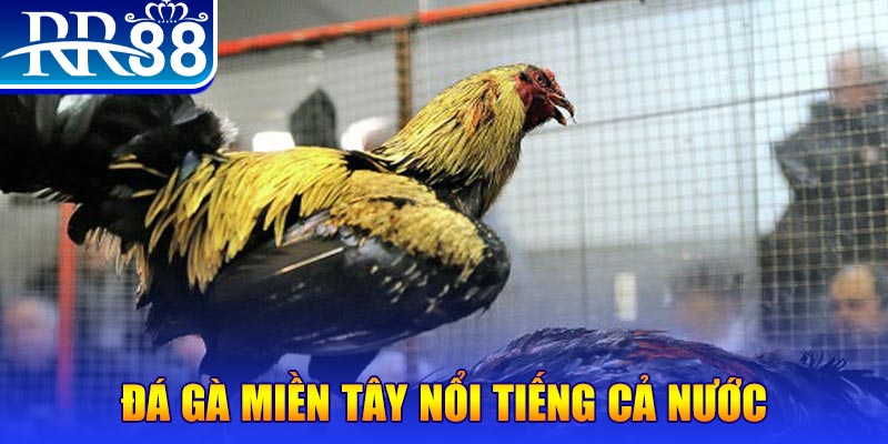 iwin club JILI Game Bài 3d