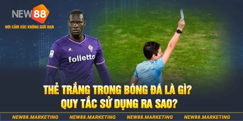 iwin club gà chọi mộc hóa