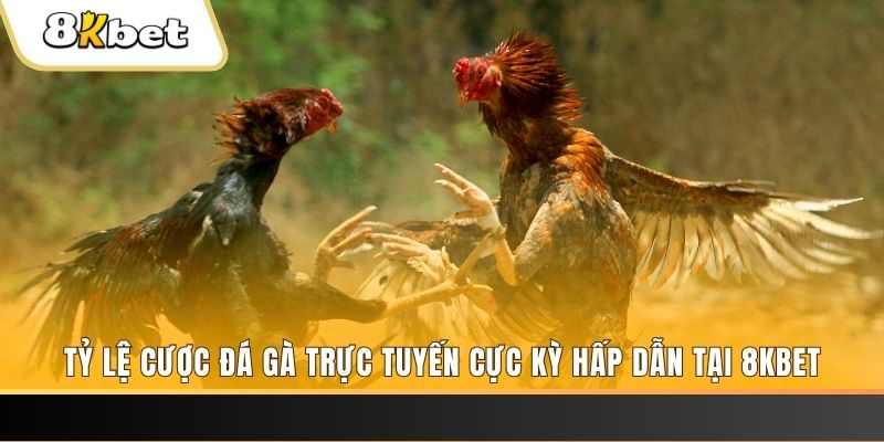 iwin club đăng nhập phỏm trực tiếp