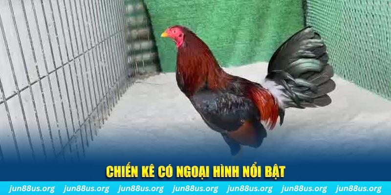 iwin club chạy quảng cáo cho game bài bị phạt như thế nào